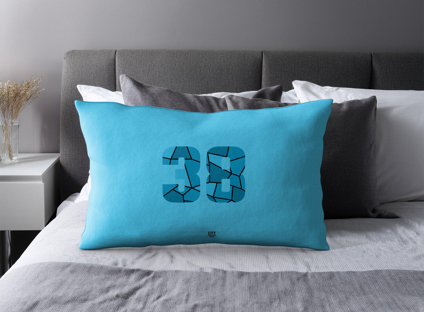 Print Deliver Plus 38 Number Pillow Case and Pillow Throw (Sky Blue)