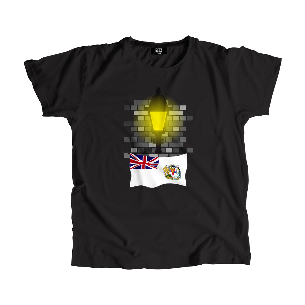 British Antarctic Territory Street Lamp Bricks Men Unisex T-Shirt