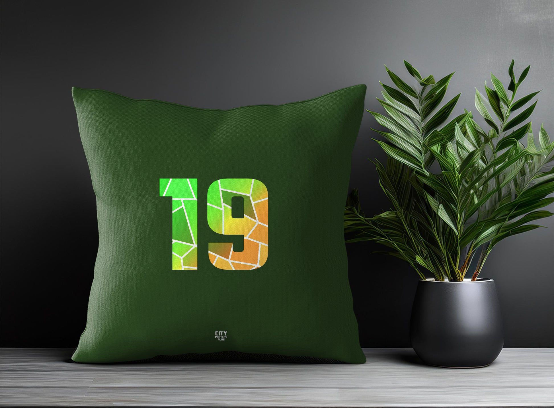 19 Number Pillow Case and Pillow Throw (Olive Green)