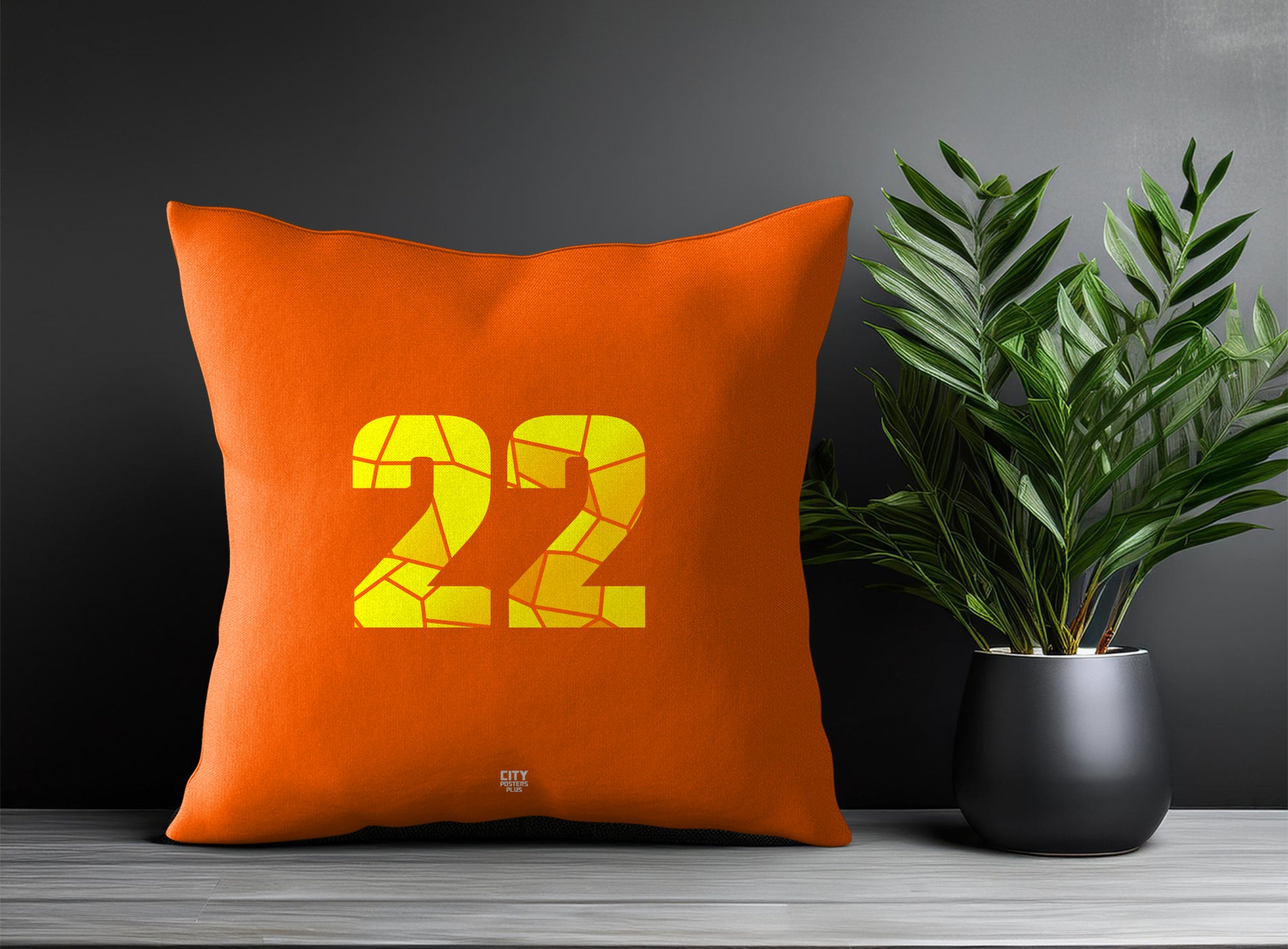 22 Number Pillow Case and Pillow Throw (Orange)