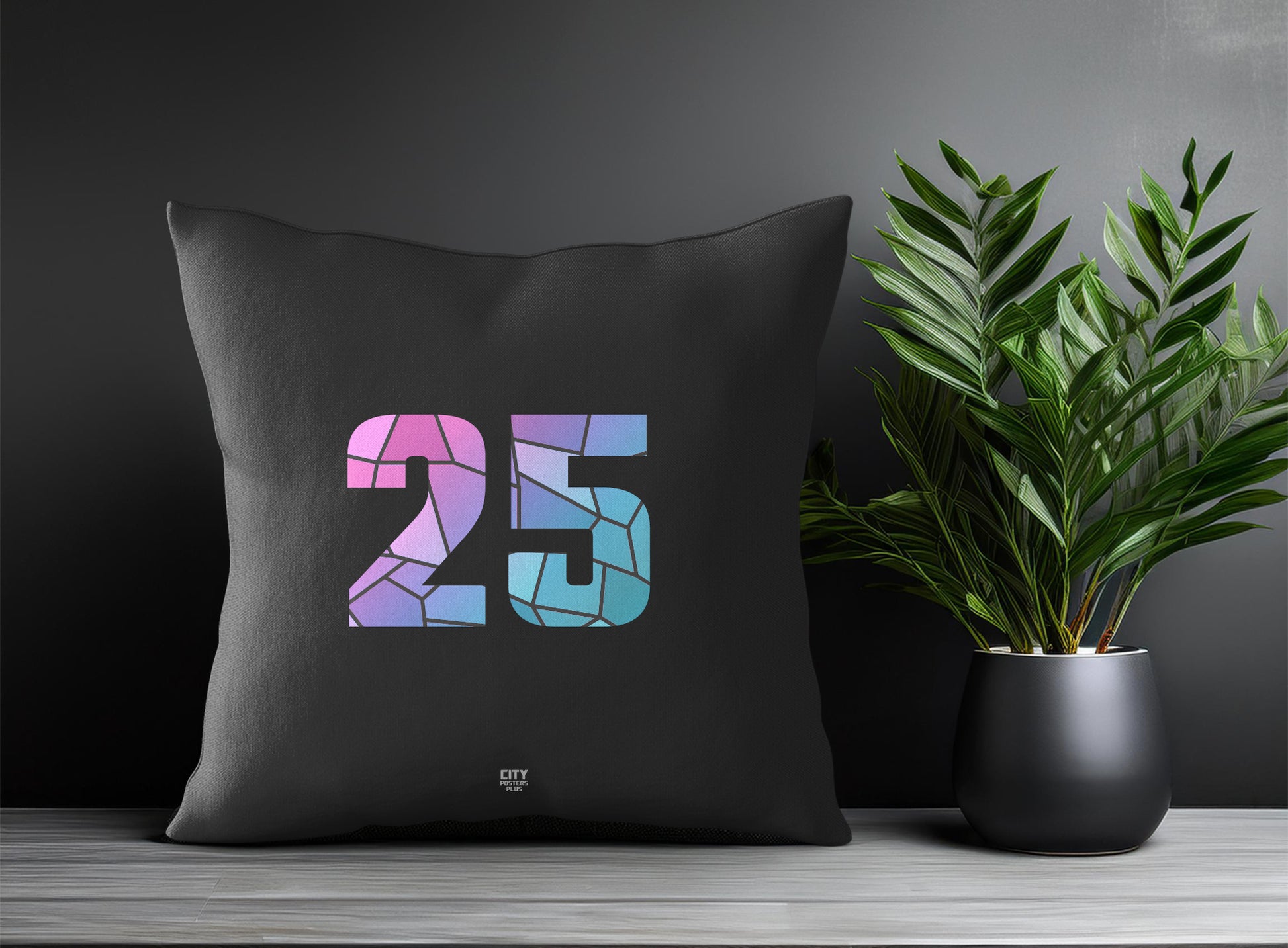 25 Number Pillow Case and Pillow Throw (Charcoal Grey)