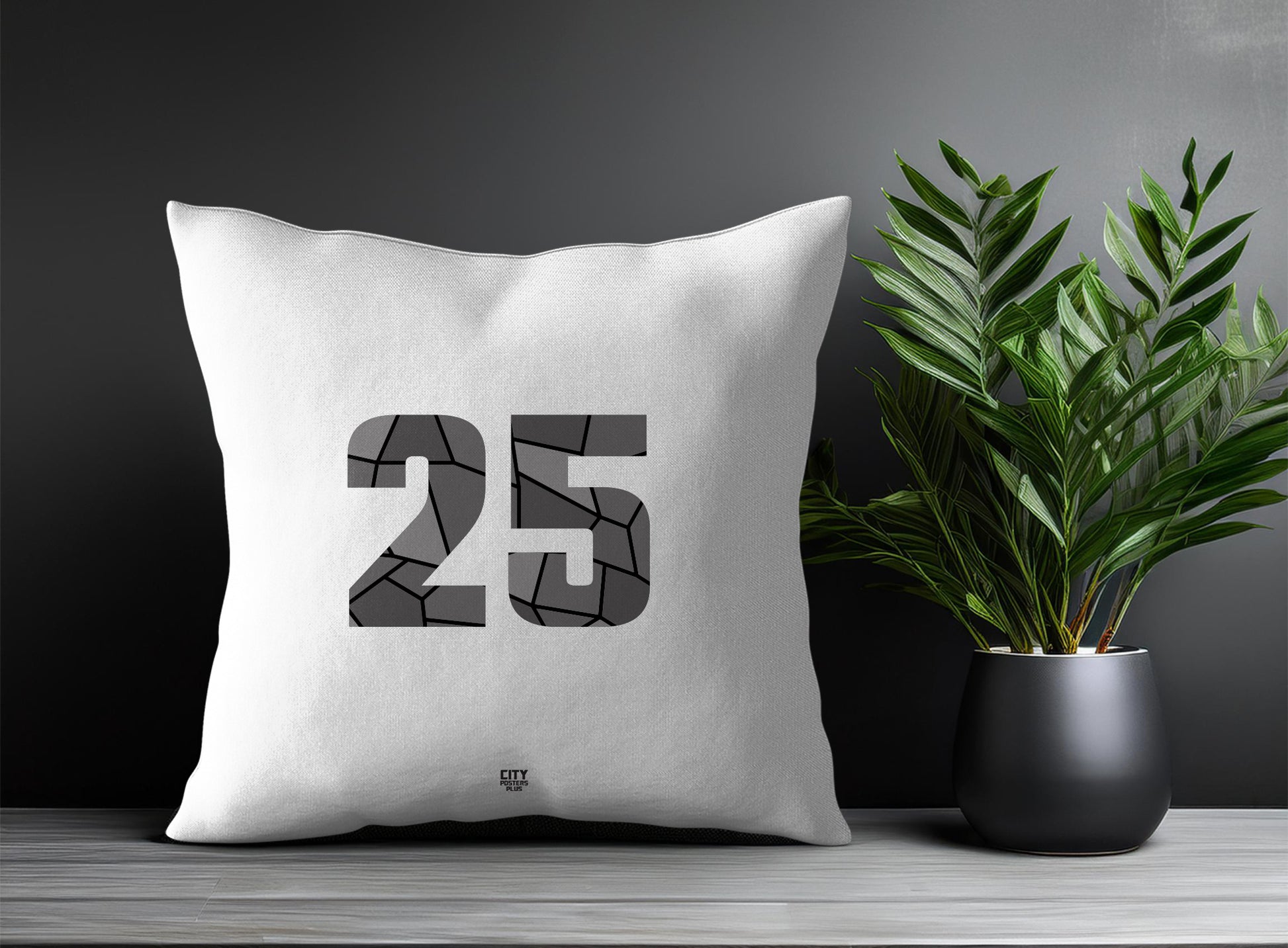 25 Number Pillow Case and Pillow Throw (White)