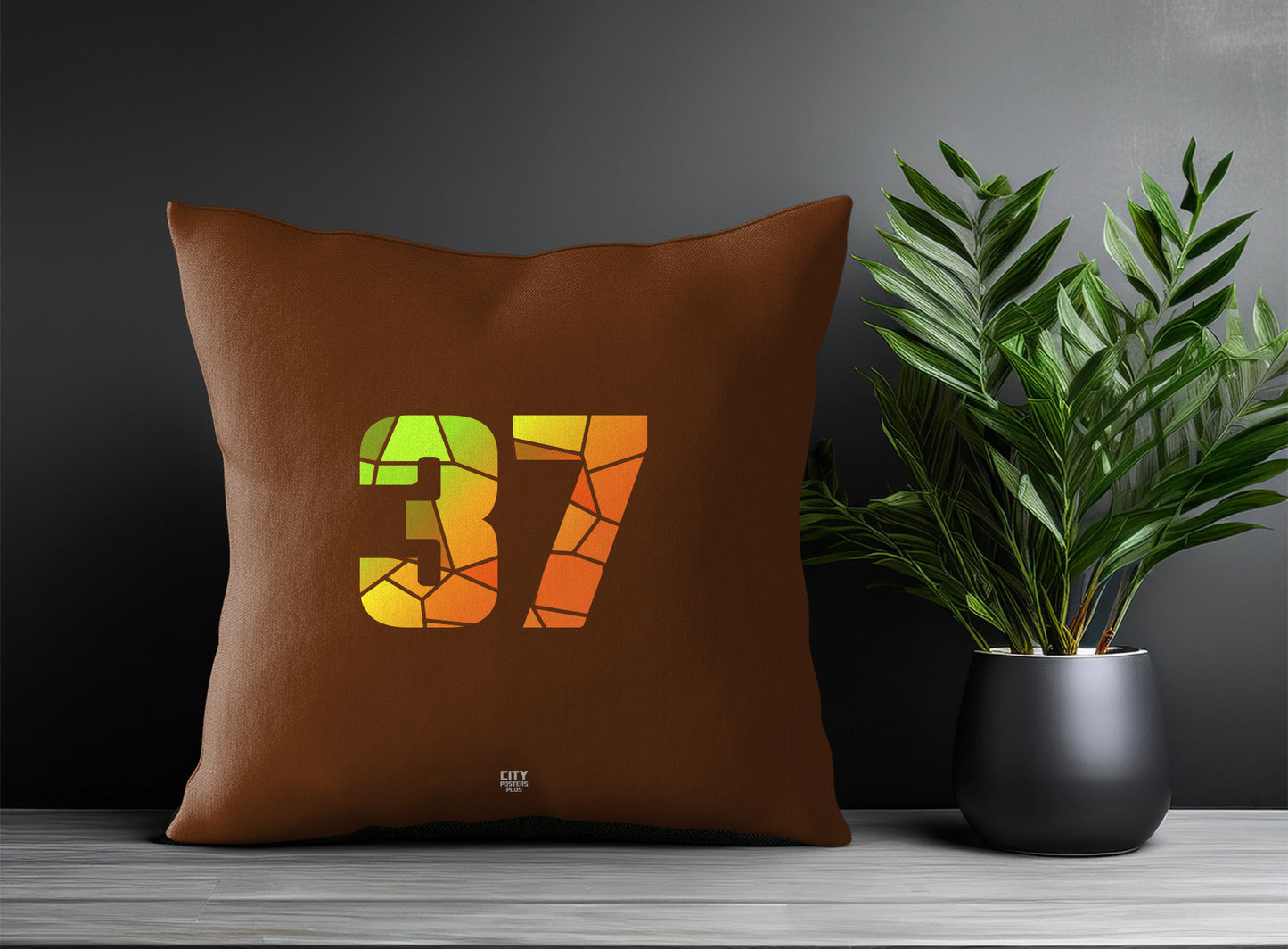 37 Number Pillow Case and Pillow Throw (Brown)