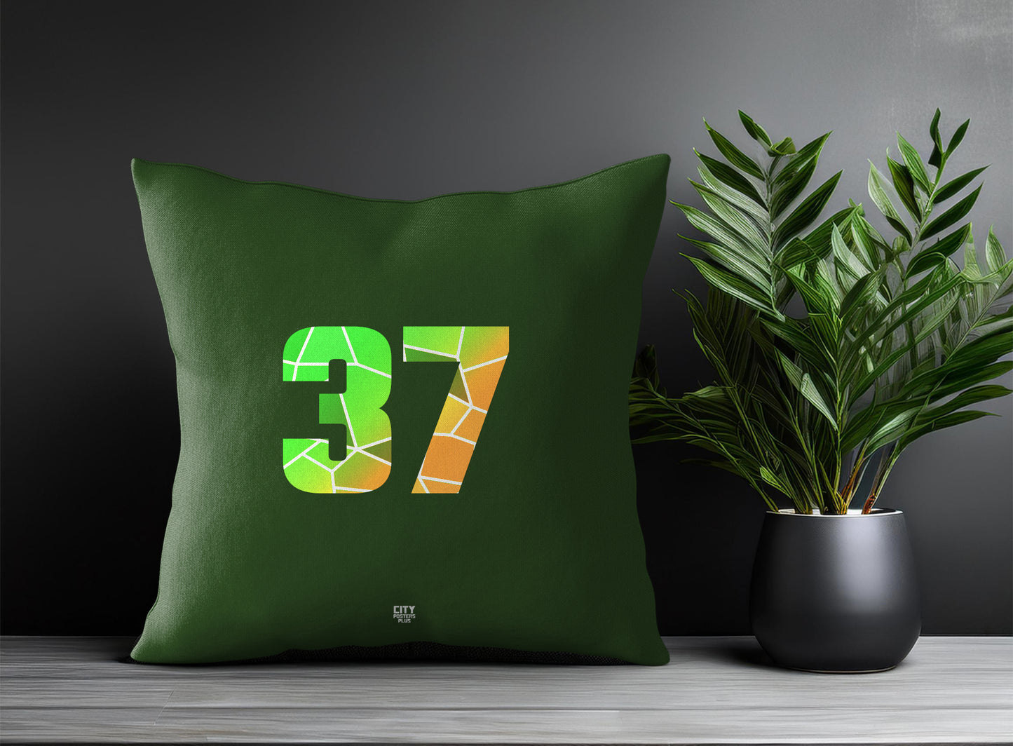 37 Number Pillow Case and Pillow Throw (Olive Green)