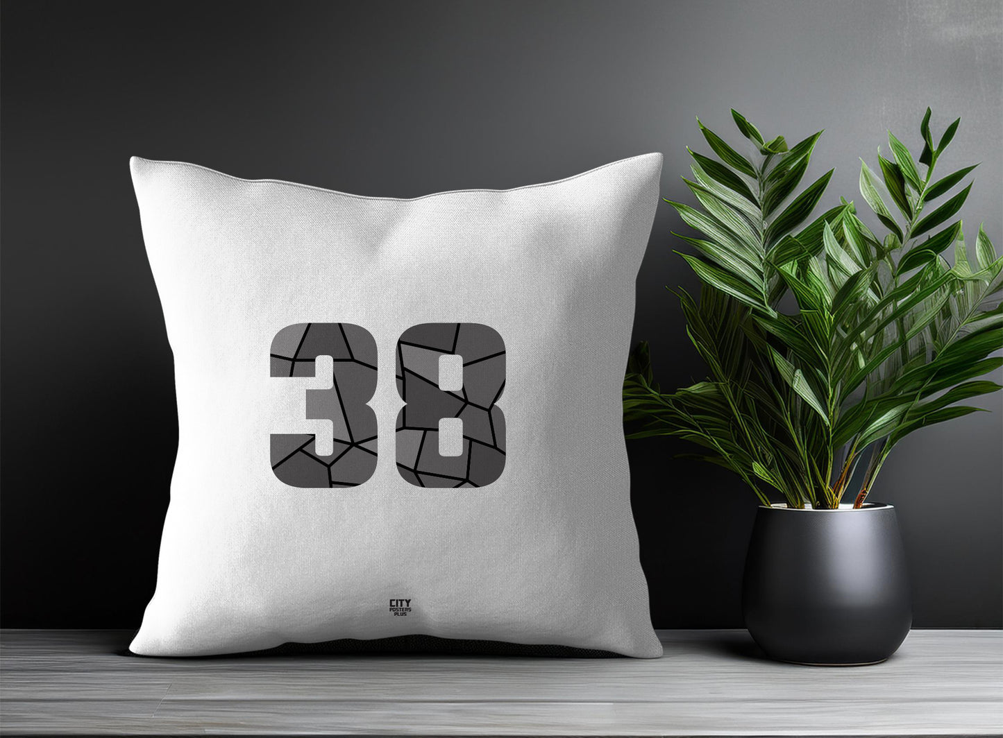 38 Number Pillow Case and Pillow Throw (White)