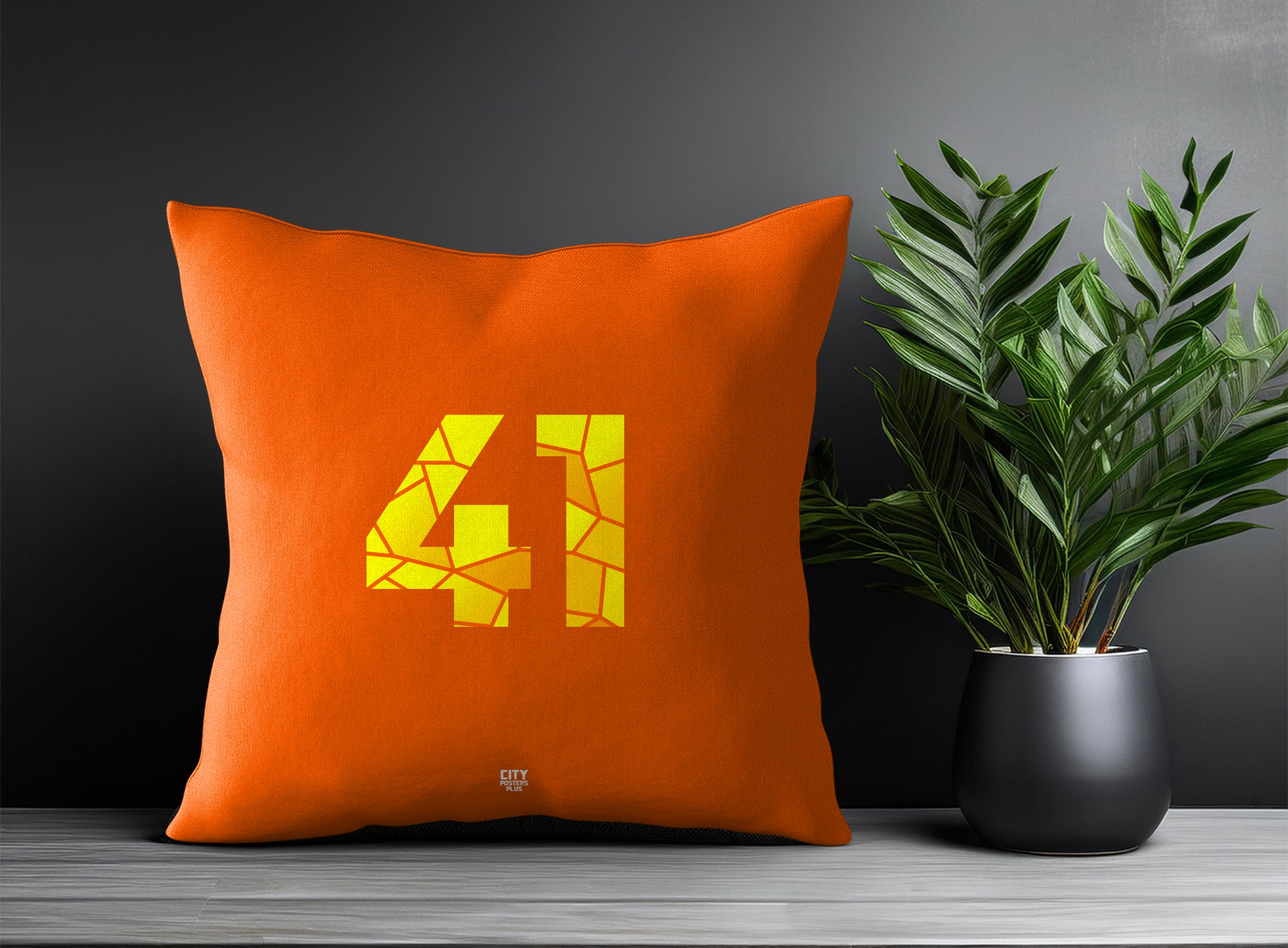 41 Number Pillow Case and Pillow Throw (Orange)