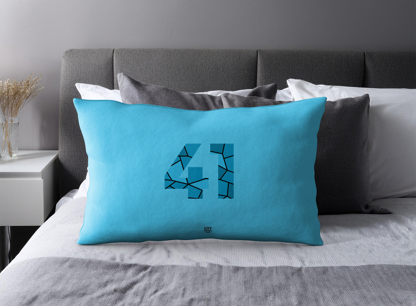 Print Deliver Plus 41 Number Pillow Case and Pillow Throw (Sky Blue)