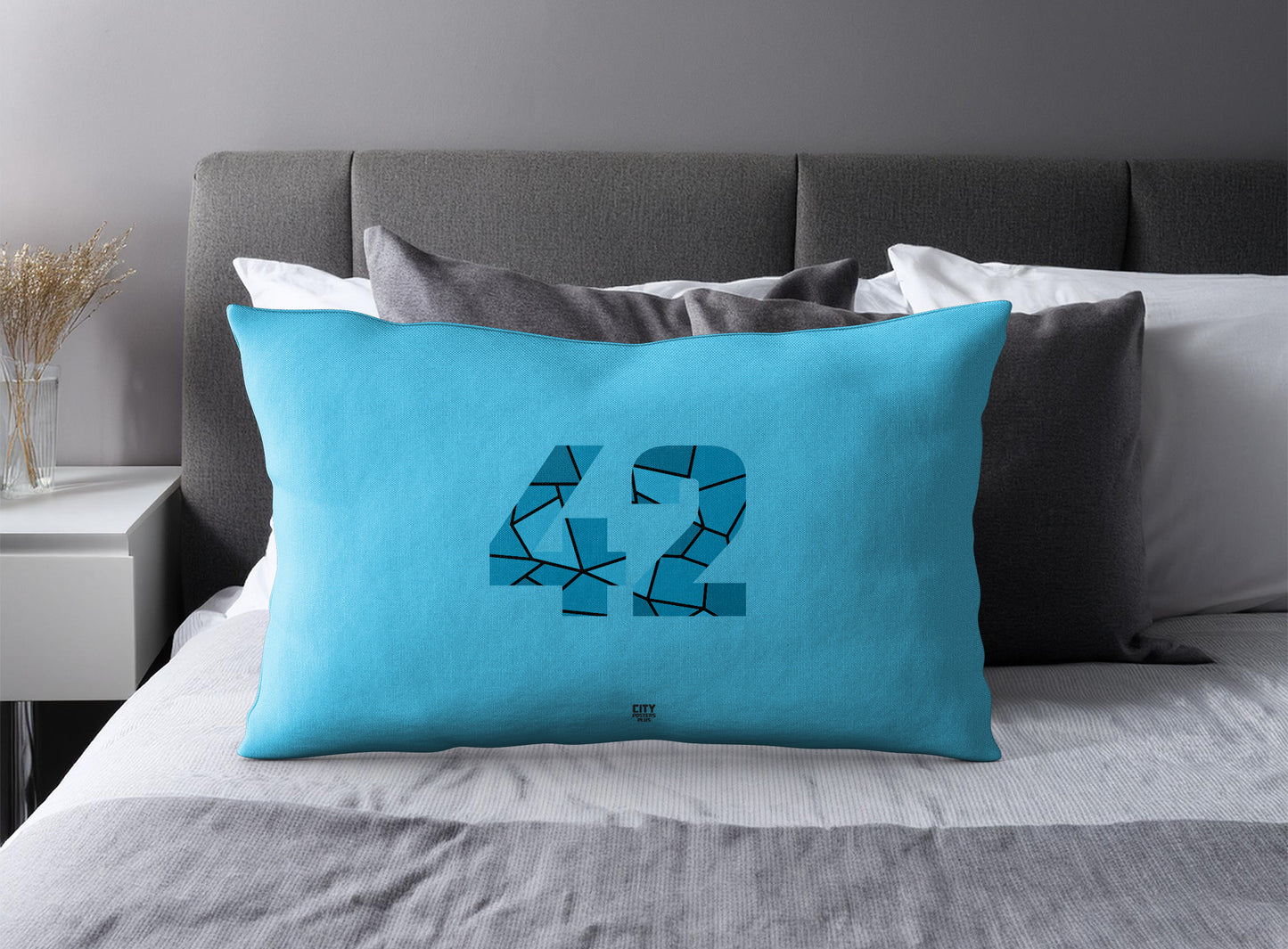 Print Deliver Plus 42 Number Pillow Case and Pillow Throw (Sky Blue)