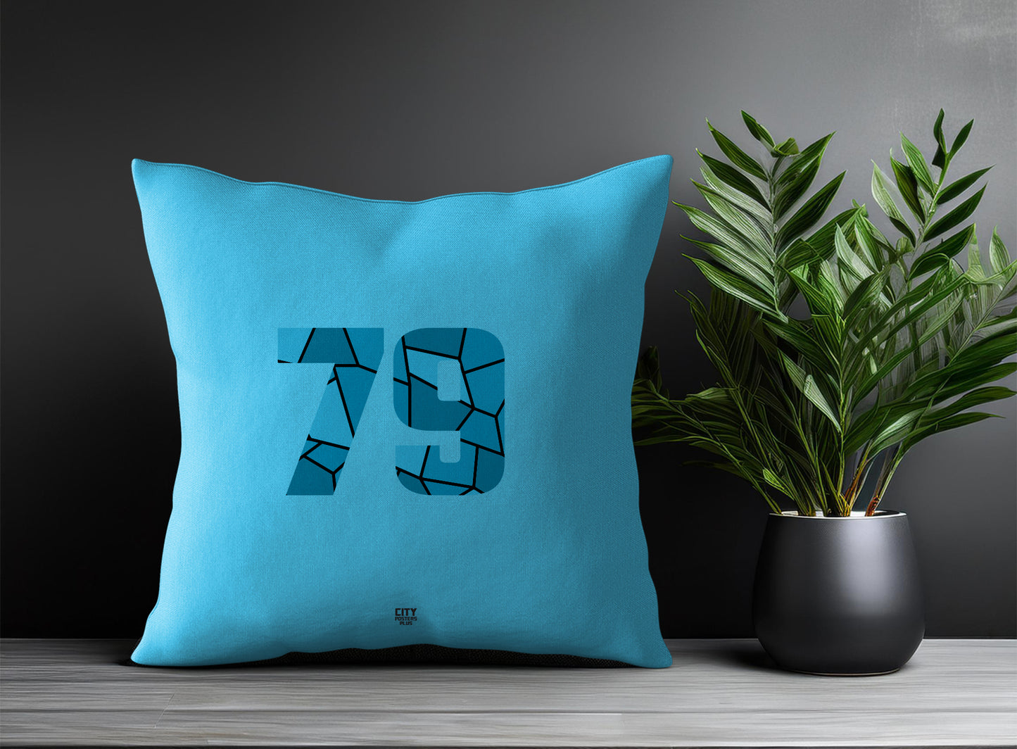 79 Number Pillow Case and Pillow Throw (Sky Blue)