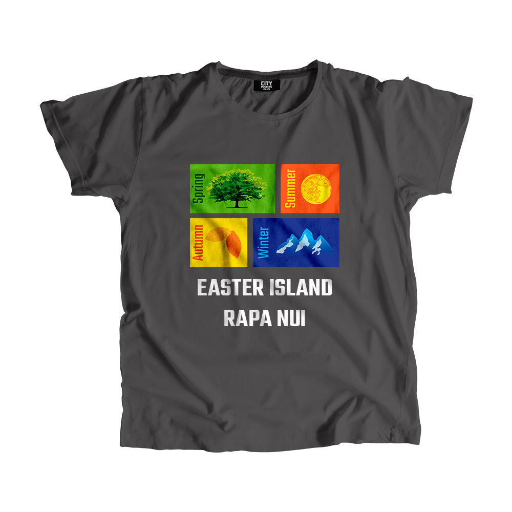 EASTER ISLAND RAPA NUI Seasons Men Unisex T-Shirt (Charcoal Grey)